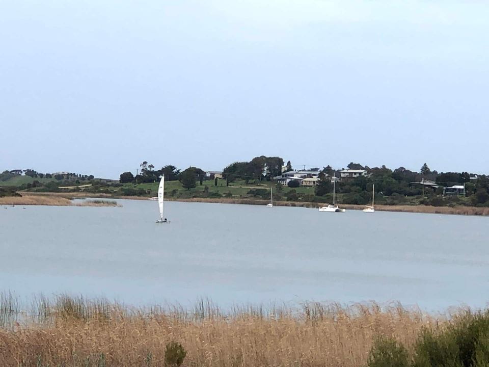 Sailing boats moored in Clayton Bay