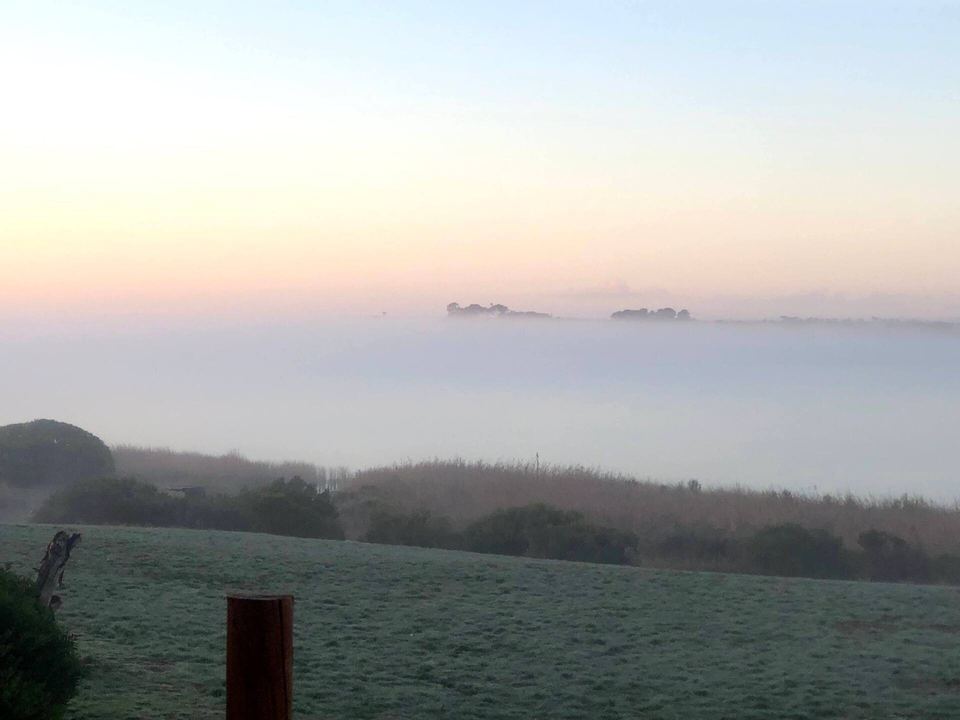 Morning mist over the water