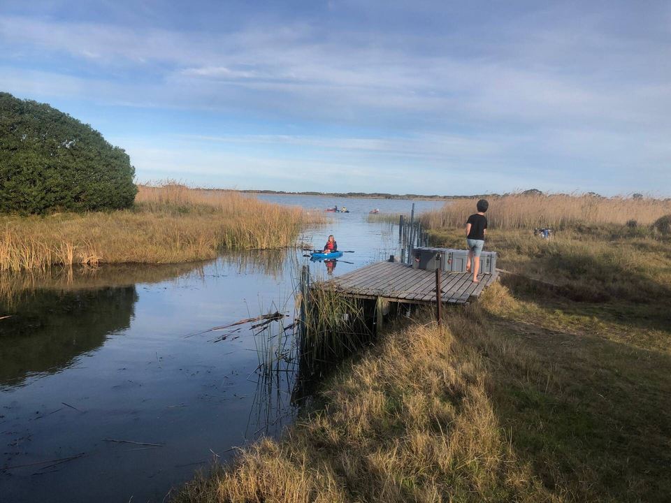 The private jetty among the reeds on Lake Alexandrina