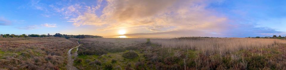 Sunrise through the morning haze